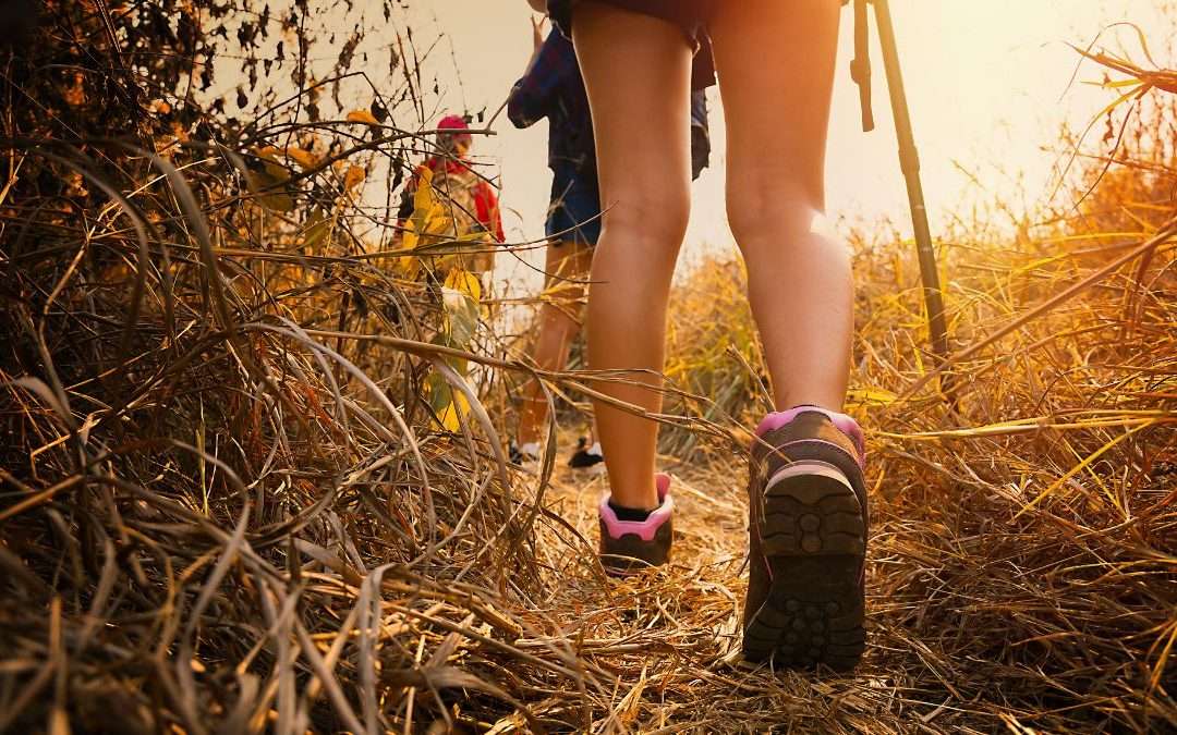 Group hiking rules
